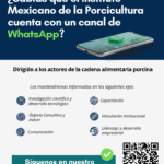 Ya tenemos Canal de WhatsApp IMP