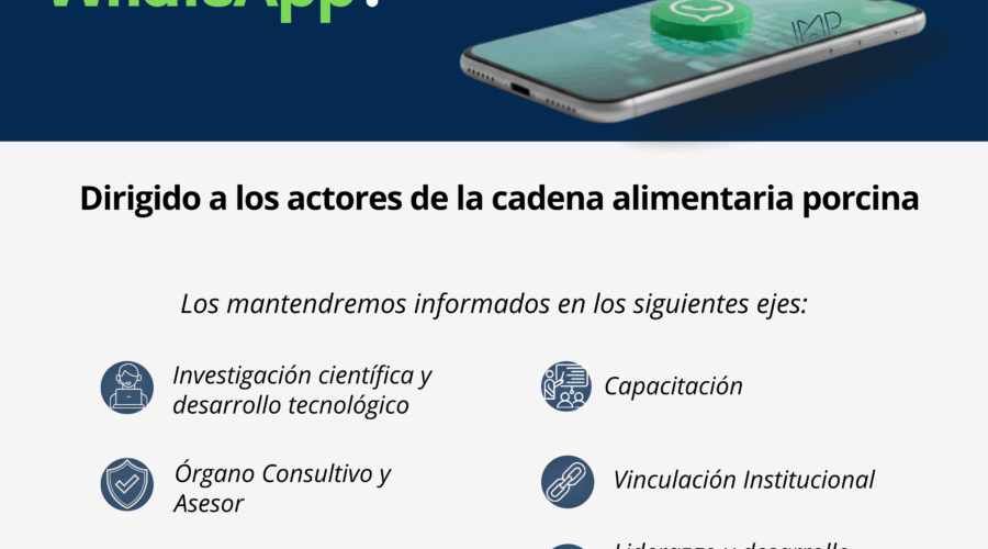 Ya tenemos Canal de WhatsApp IMP
